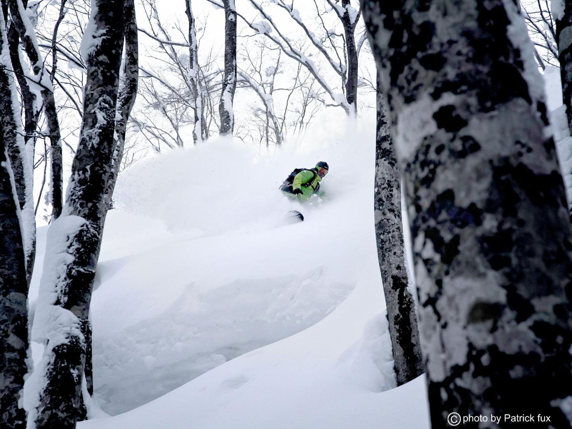 Hotel Green Plaza Hakuba Otari Kültér fotó