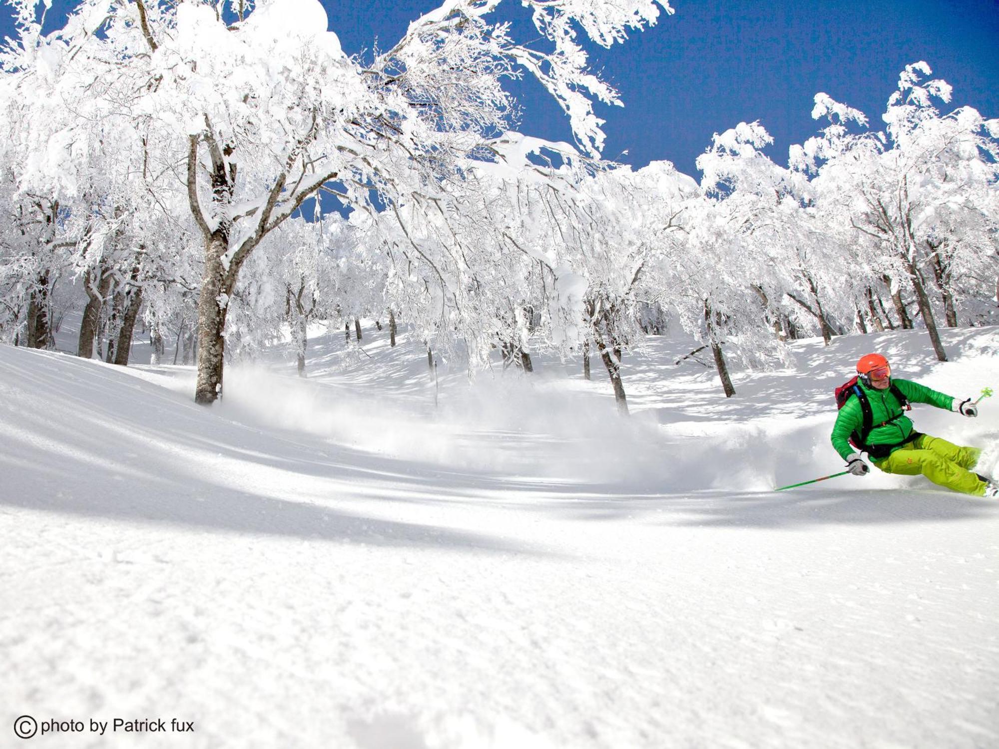 Hotel Green Plaza Hakuba Otari Kültér fotó