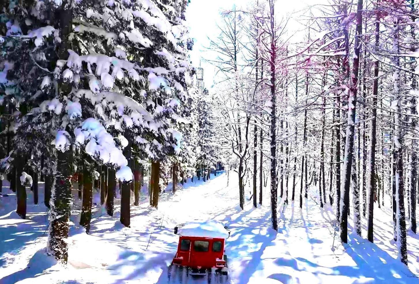 Hotel Green Plaza Hakuba Otari Kültér fotó